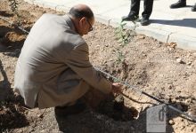 گزارش تصویری مراسم روز درختکاری